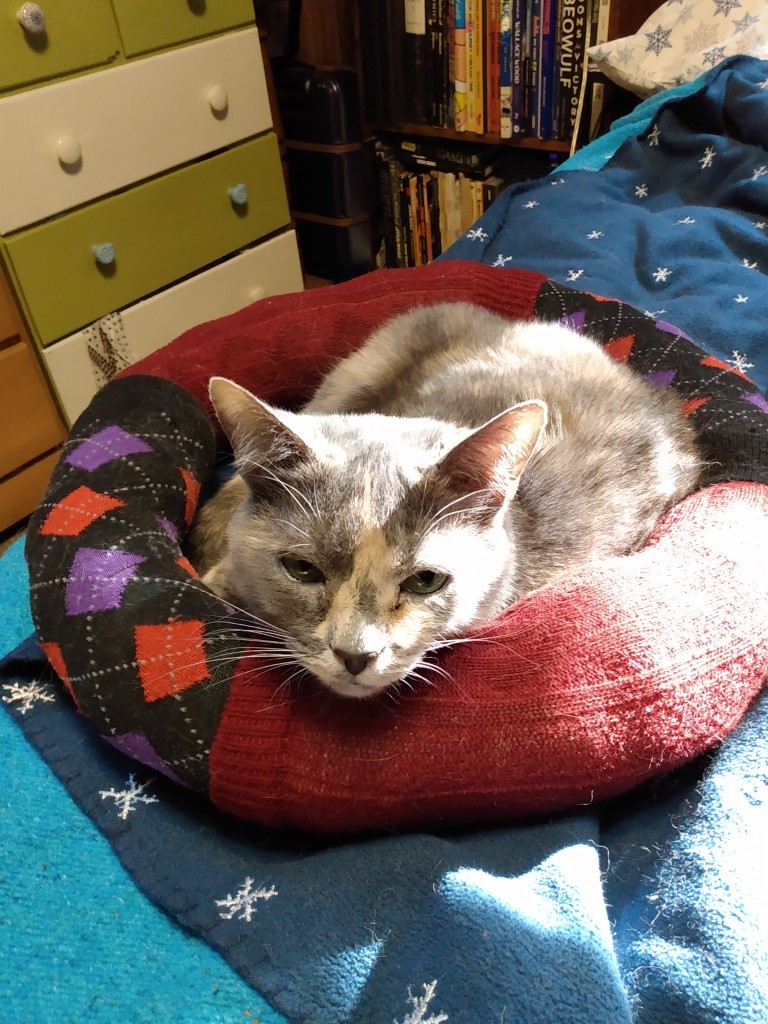 Shelly looks at you from her donut