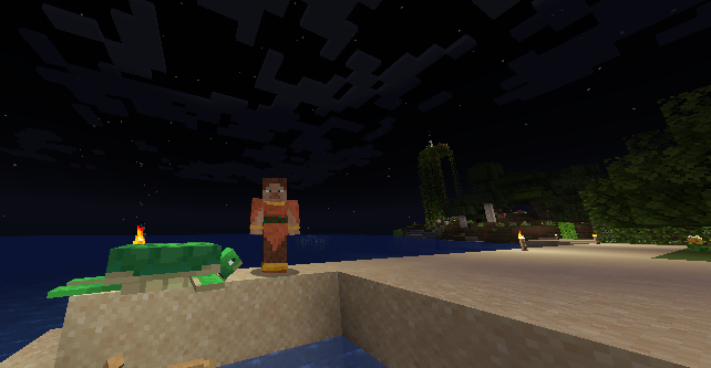 Sea Turtles A minecraft screenshot of my avatar standing on a beach with a sea turtle looking at me, with lit-up trees in the background